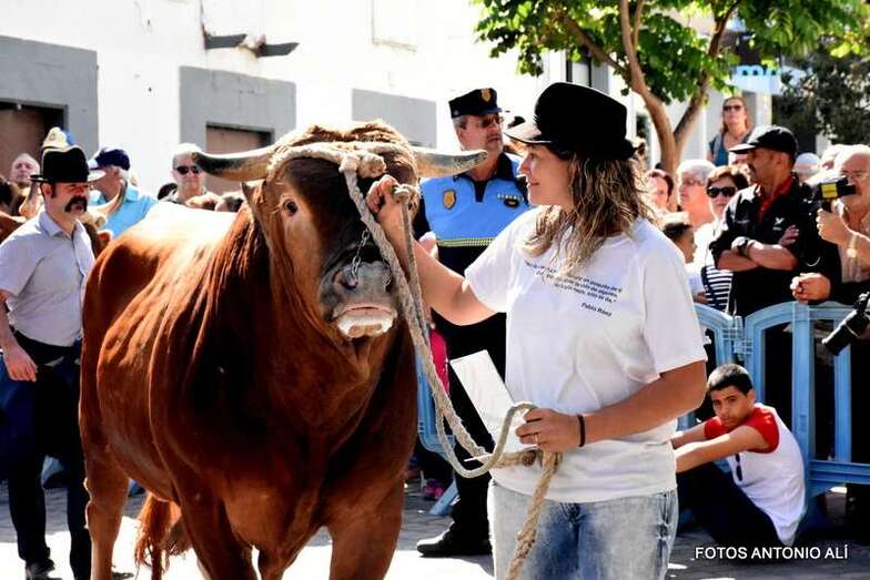 Desfile de ganado en la última edición de las fiestas de San Gregorio (Foto Antonio Alí)